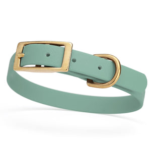 Sage Green dog collar for small dogs with brass hardware, 5/8 inch wide, adjustable, made from Biothane 
