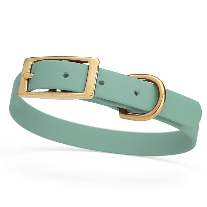 Sage Green dog collar for small dogs with brass hardware, 5/8 inch wide, adjustable, made from Biothane 