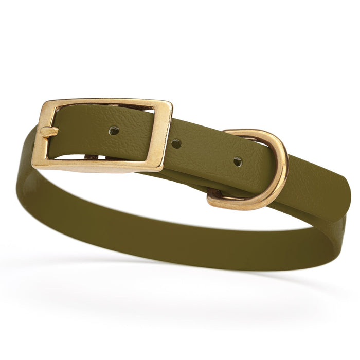 Olive Drab Green dog collar for small dogs with brass hardware, 5/8 inch wide, adjustable, made from Biothane 
