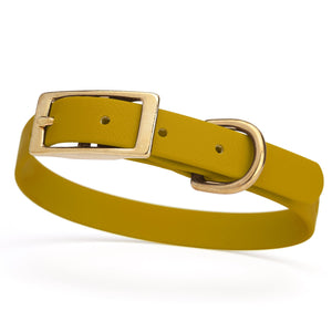 Treasure Gold dog collar for small dogs with brass hardware, 5/8 inch wide, adjustable, made from Biothane 
