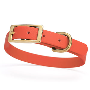 Coral dog collar for small dogs with brass hardware, 5/8 inch wide, adjustable, made from Biothane 