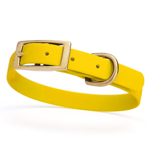 Lemon Yellow dog collar for small dogs with brass hardware, 5/8 inch wide, adjustable, made from Biothane 