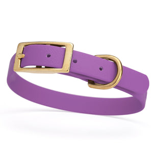 Amethyst Purple dog collar for small dogs with brass hardware, 5/8 inch wide, adjustable, made from Biothane 