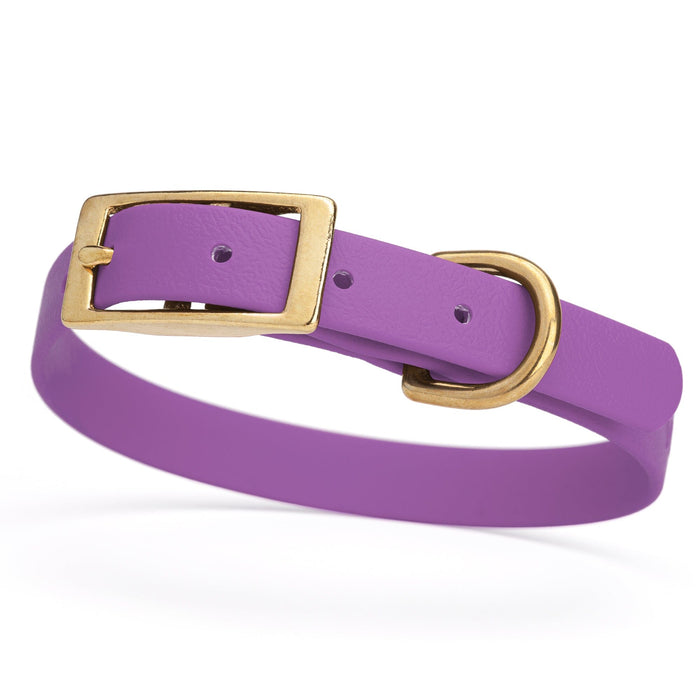Amethyst Purple dog collar for small dogs with brass hardware, 5/8 inch wide, adjustable, made from Biothane 
