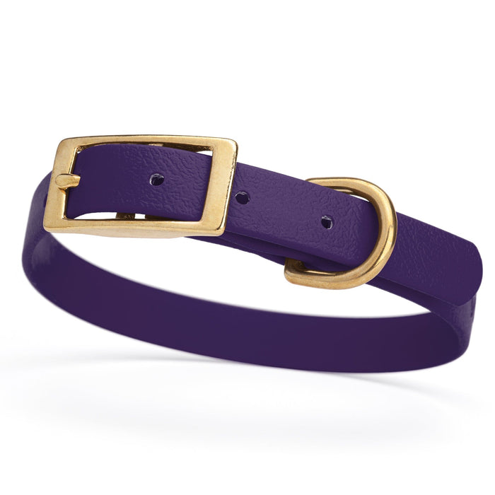 Violet Purple dog collar for small dogs with brass hardware, 5/8 inch wide, adjustable, made from Biothane 