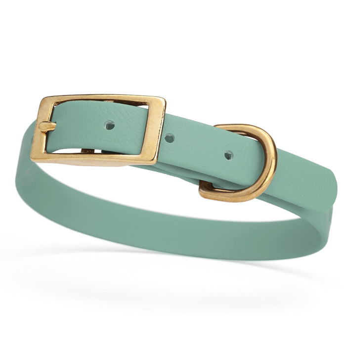 Sage Green collar for small dogs with brass buckle and D-ring, made from waterproof and smell proof Biothane, width 3/4 inch