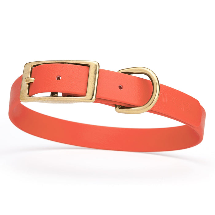 Waterproof Biothane dog collar for medium dogs with brass hardware, 3/4 inch wide, Coral