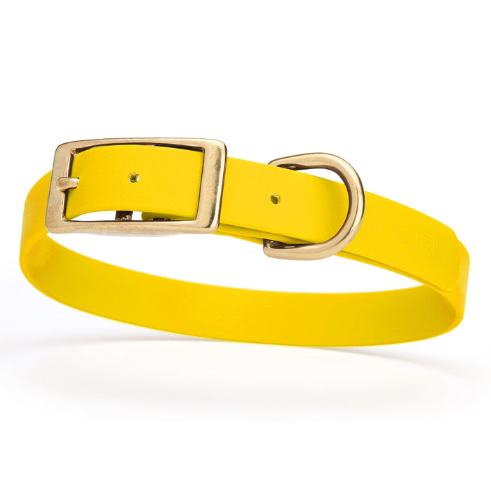 Waterproof Biothane dog collar for medium dogs with brass hardware, 3/4 inch wide, Lemon Yellow