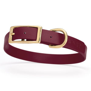 Waterproof Biothane dog collar for medium dogs with brass hardware, 3/4 inch wide, Merlot Burgundy