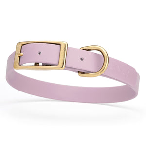 Waterproof Biothane dog collar for medium dogs with brass hardware, 3/4 inch wide, Pastel Purple