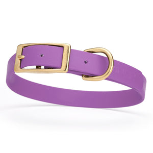 Waterproof Biothane dog collar for medium dogs with brass hardware, 3/4 inch wide, Amethyst Purple