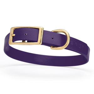 Waterproof Biothane dog collar for medium dogs with brass hardware, 3/4 inch wide, Violet Purple