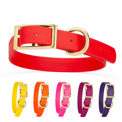 Waterproof dog collar with brass hardware, made from Biothane, size Large; Red, Yellow, Orange, Pink, Magenta, Violet and 20 other color options