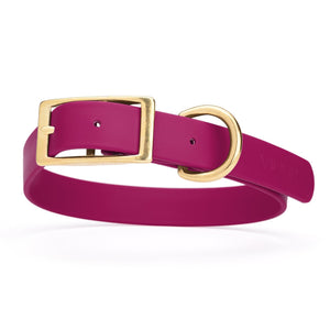 Magenta Pink dog collar with brass hardware, made from waterproof Biothane, 1-inch wide, fits large dogs