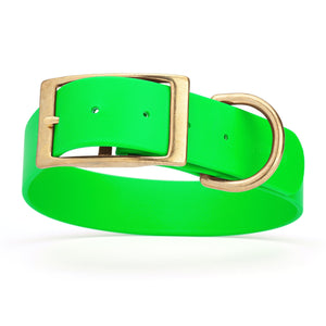 Waterproof dog collar for giant breeds, brass hardware, 1.5 inches wide, made from Biothane, Tropical Green