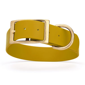 Waterproof dog collar for giant breeds, brass hardware, 1.5 inches wide, made from Biothane, Treasure Gold
