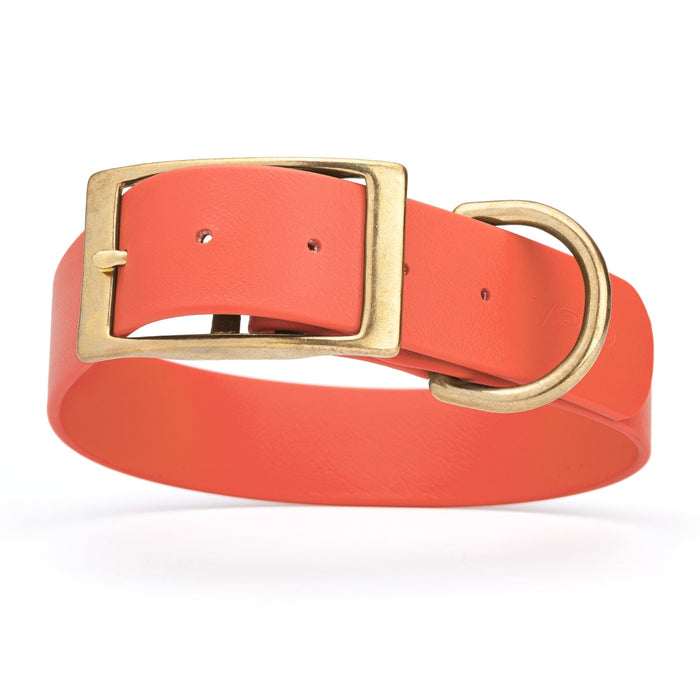 Waterproof dog collar for giant breeds, brass hardware, 1.5 inches wide, made from Biothane, Coral