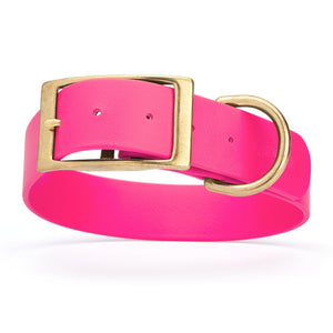 Waterproof dog collar for giant breeds, brass hardware, 1.5 inches wide, made from Biothane, Passionfruit Pink