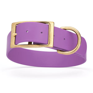 Waterproof dog collar for giant breeds, brass hardware, 1.5 inches wide, made from Biothane, Amethyst Purple