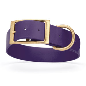 Waterproof dog collar for giant breeds, brass hardware, 1.5 inches wide, made from Biothane, Violet Purple