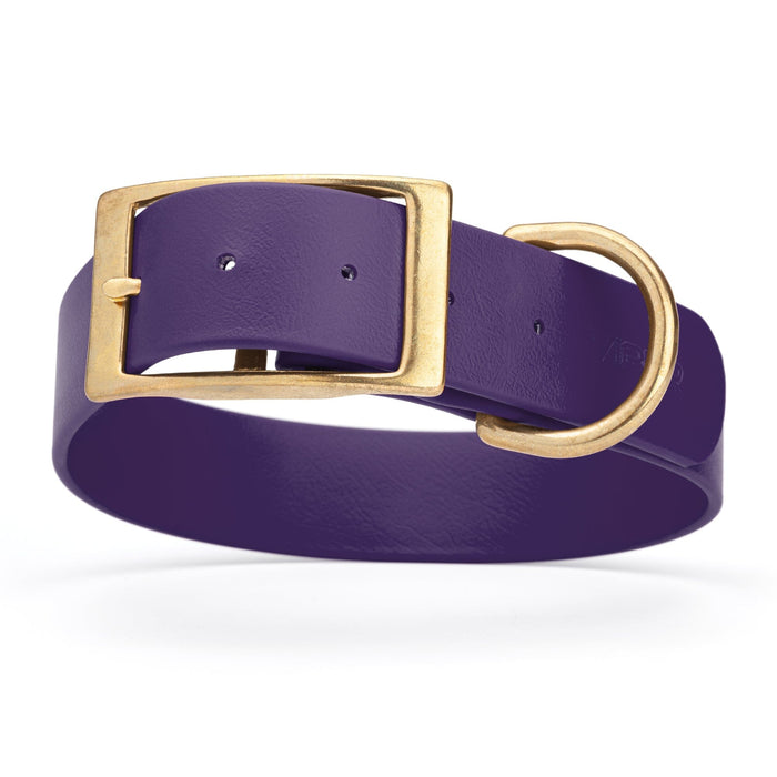 Waterproof dog collar for giant breeds, brass hardware, 1.5 inches wide, made from Biothane, Violet Purple