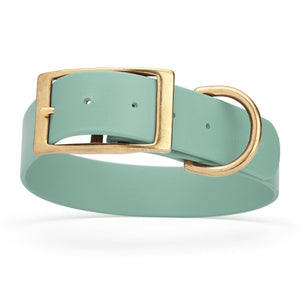 Sage Green waterproof collar for large dogs with brass buckle and D-ring, made from Biothane, size XL, 1.5-inch wide