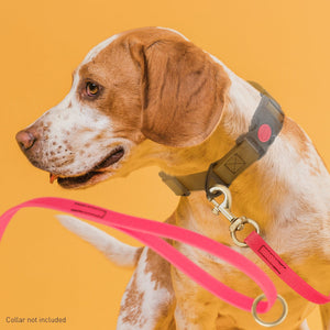 Viper Pebble Emboss BioThane Dog Leash with Solid Brass Hardware