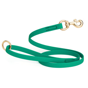 5 ft Teal Biothane dog leash with super grip pebbled coating and brass hardware