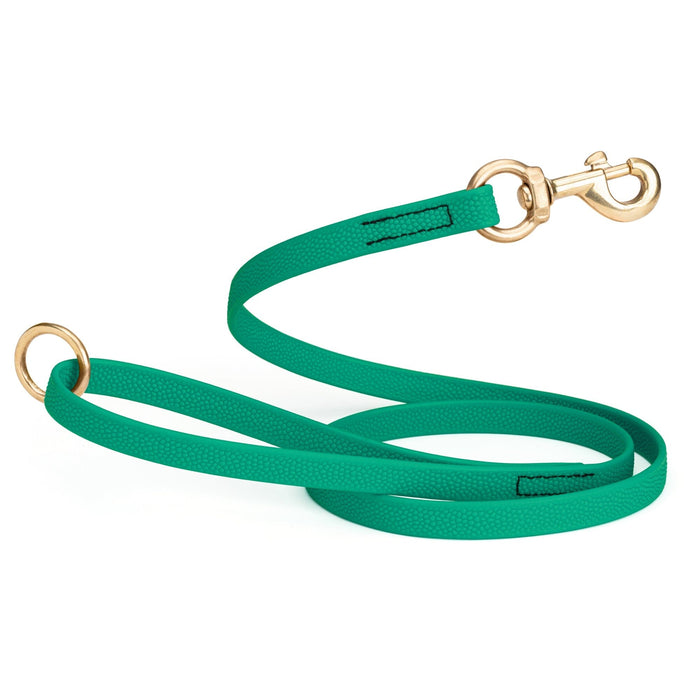 5 ft Teal Biothane dog leash with super grip pebbled coating and brass hardware