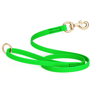 5 ft Tropical Green Biothane dog leash with super grip pebbled coating and brass hardware