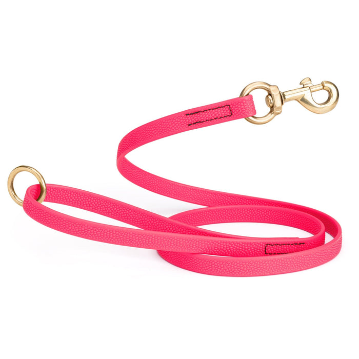5 ft Hot Pink Biothane dog leash with super grip pebbled coating and brass hardware