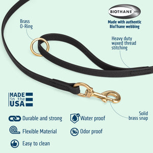Viper Pebble Emboss BioThane Dog Leash with Solid Brass Hardware, 5 ft