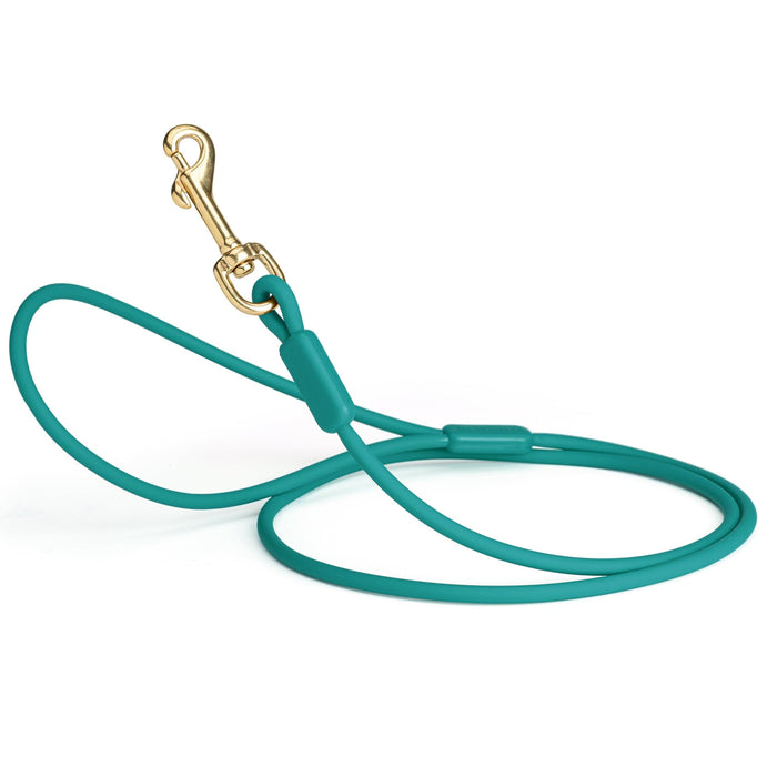 Viper Round Biothane Dog Lead with Brass Hardware
