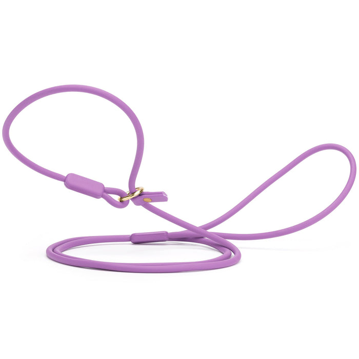 Viper Round Biothane Slip Lead with Brass Hardware
