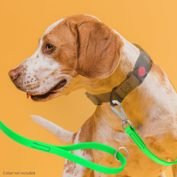 Viper Biothane Dog Leash with SPRENGER Stainless Steel Hook – 4 FT, 6 FT