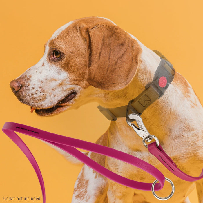 Viper Biothane Dog Leash with SPRENGER Stainless Steel Hook