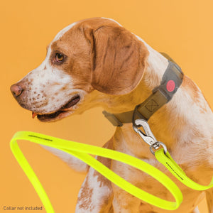 Viper Long Line 10 ft Biothane Dog Lead with SPRENGER Stainless Steel Hook