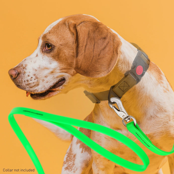 Viper Long Line 15 ft Biothane Dog Lead with SPRENGER Stainless Steel Hook