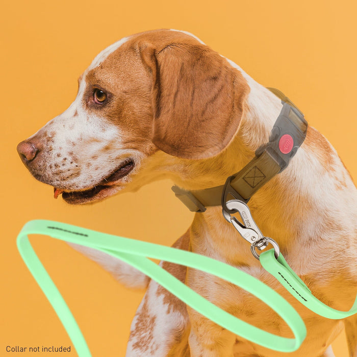 Viper Long Line 20 ft Biothane Dog Lead with SPRENGER Stainless Steel Hook