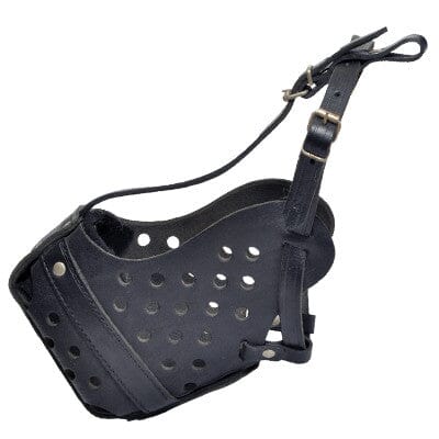 Leather dog muzzle