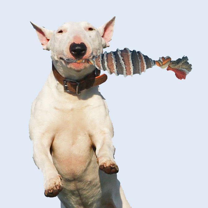 Dog Toys