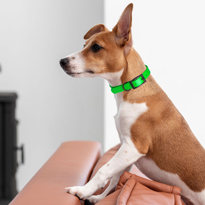 Dogline Biothane Waterproof Dog Collar with Black Hardware -  1.5" Wide, Size L (16 to 20 inches)