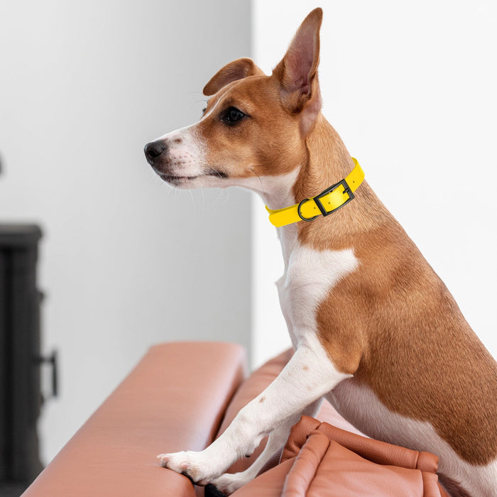 Biothane Waterproof Collar - Wide - Large (16 to 20 inches)