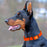 Biothane Waterproof Dog Collar - Wide - X-Large (20 to 24 inches)