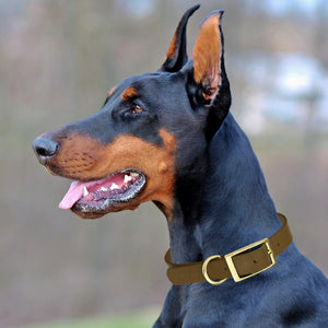Viper Biothane Waterproof Dog Collar - Brass Hardware - 1.5in Wide, Size XL (20 to 24 inches)