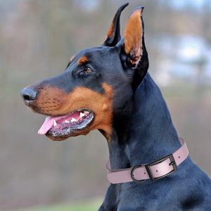 Biothane Waterproof Dog Collar - Small (12 to 15 inches)