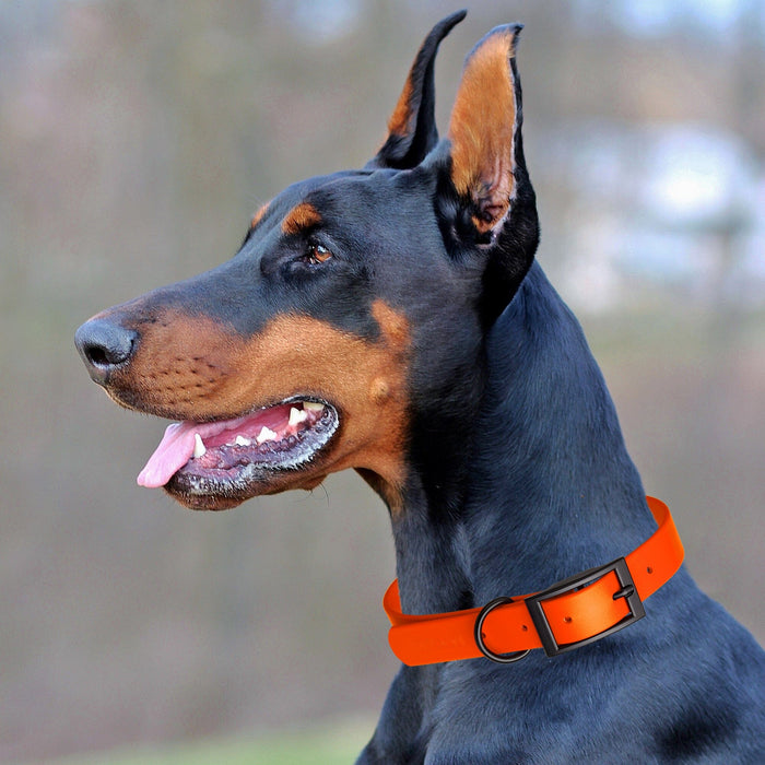 Biothane Waterproof Collar - X-Small (9 to 12 inches)