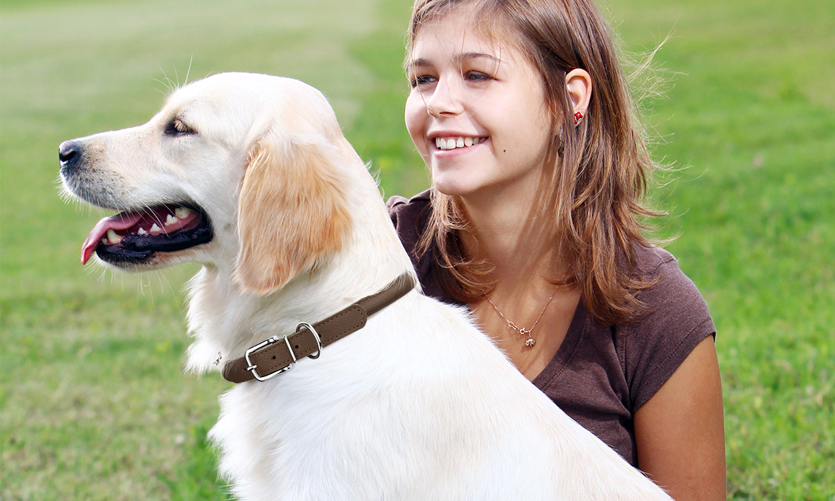 Dogline Group