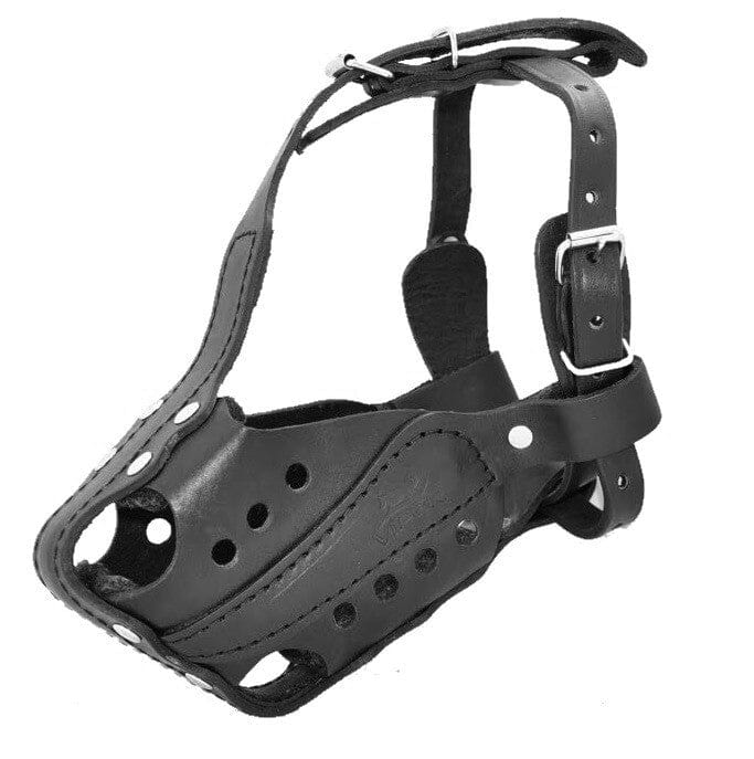 Leather dog muzzle with three metal buckles