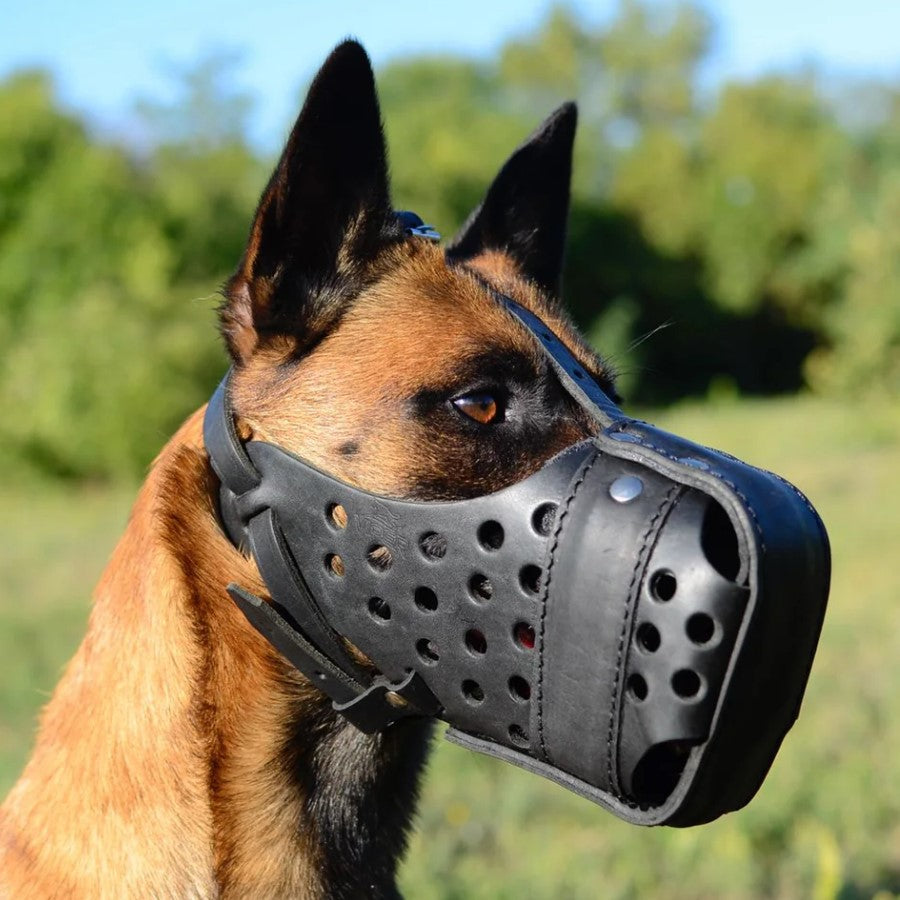 Muzzles